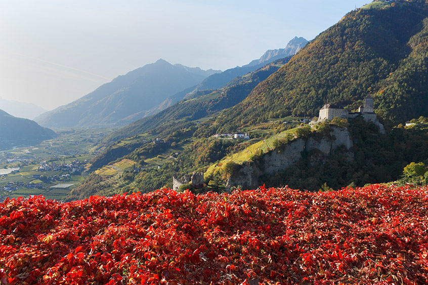 Wanderparadies Dorf Tirol im Meraner Land